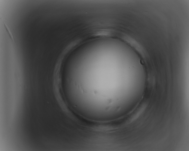 X0000101480529200807071506