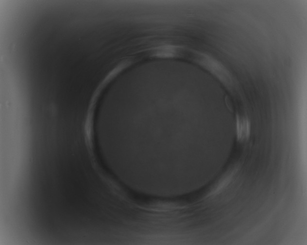 X0000101480531200807071506