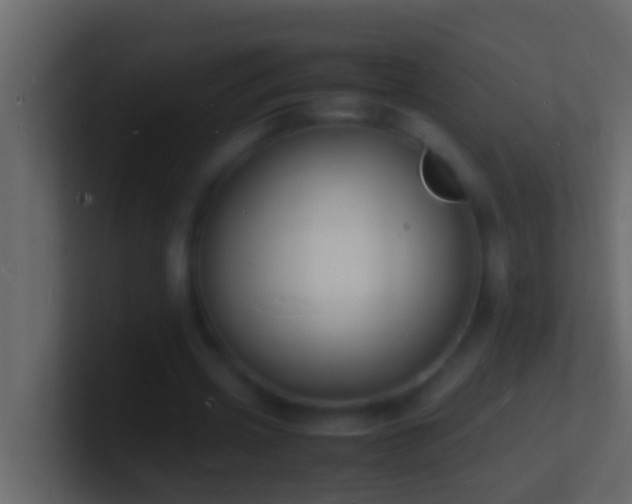 X0000101480533200807071506