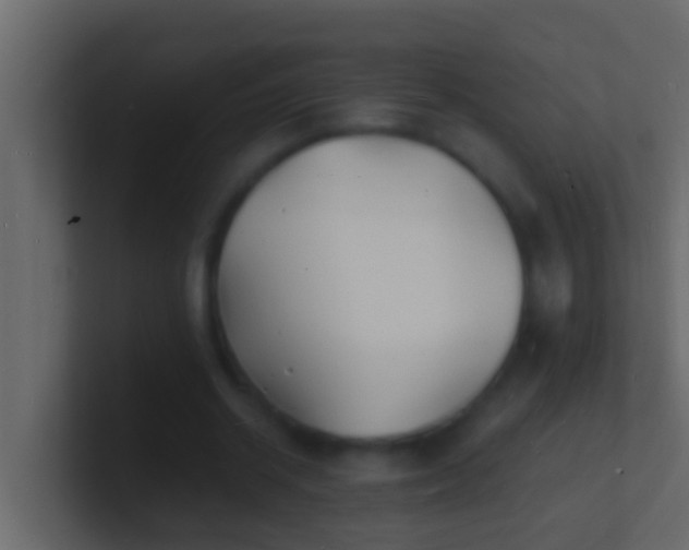 X0000101480534200807071506