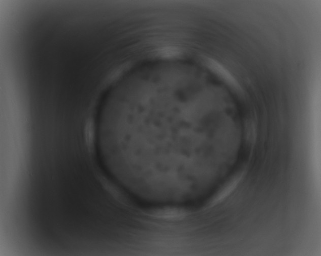X0000101480542200807071506