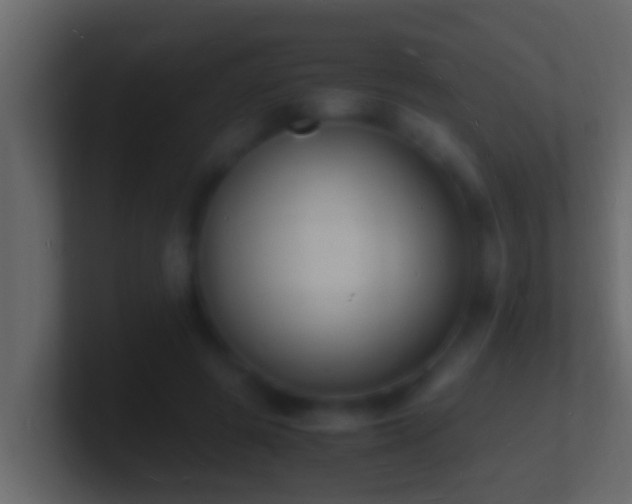 X0000101480545200807071506