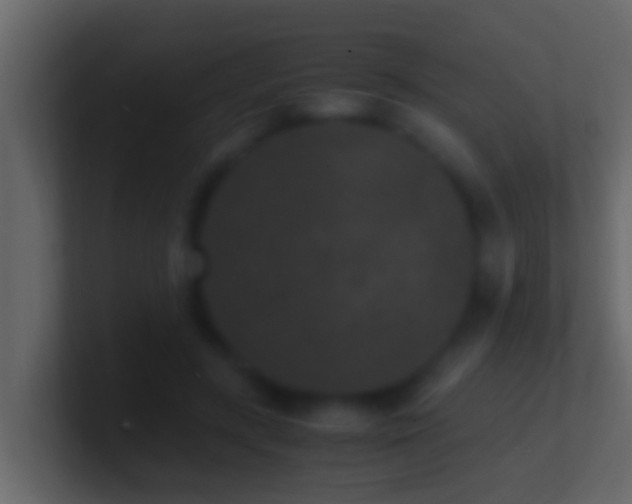 X0000101480547200807071506