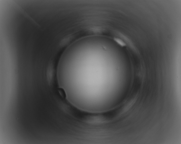 X0000101480548200807071506