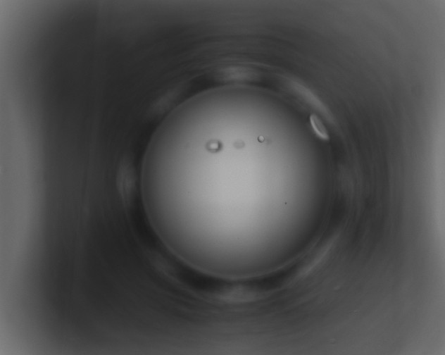X0000101480549200807071506