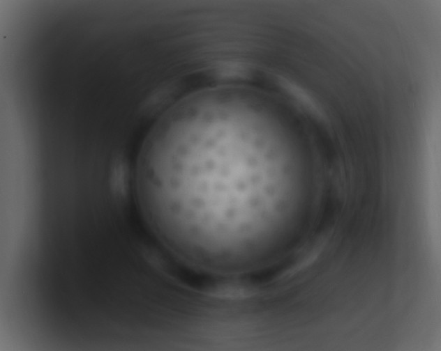 X0000101480550200807071506