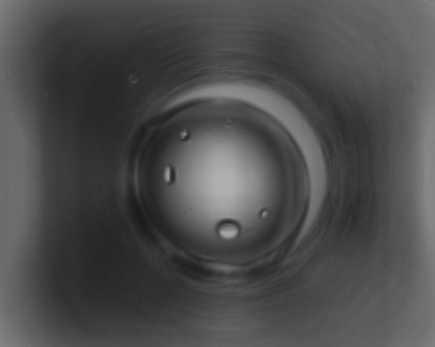 X0000101480552200807071506