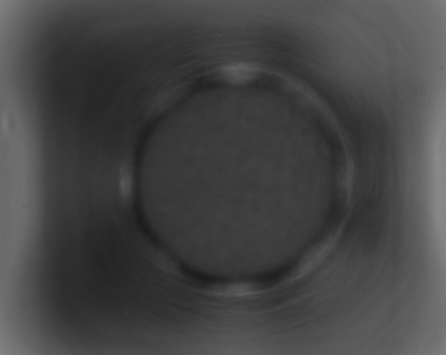 X0000101480553200807071506