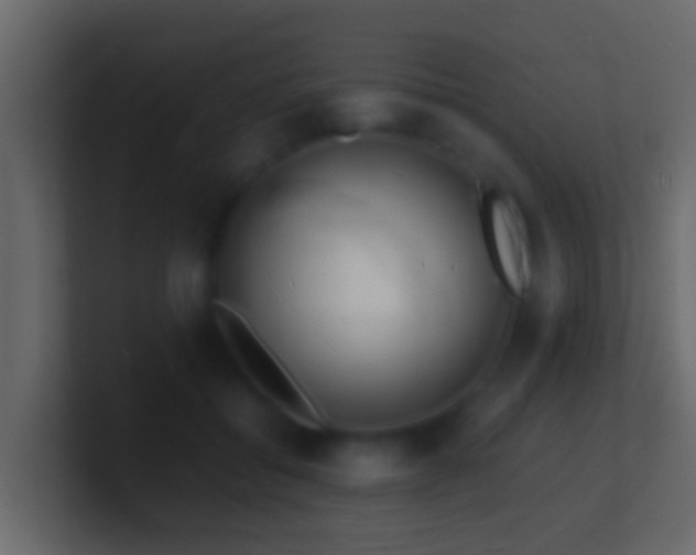 X0000101480556200807071506