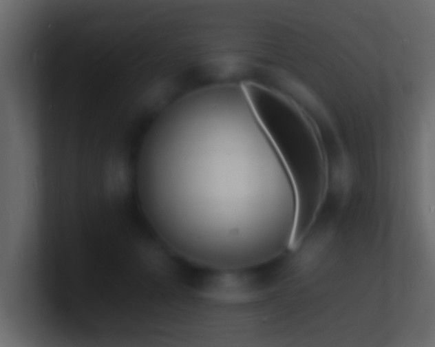 X0000101480558200807071506