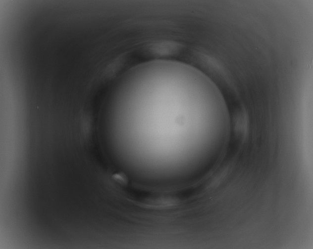X0000101480559200807071506