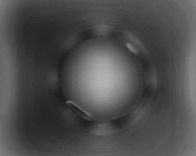 X0000101480560200807071506