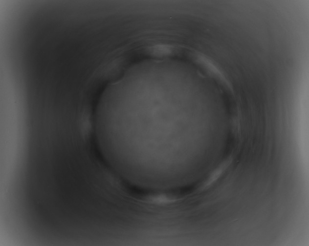 X0000101480561200807071506