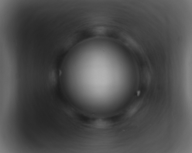 X0000101480562200807071506