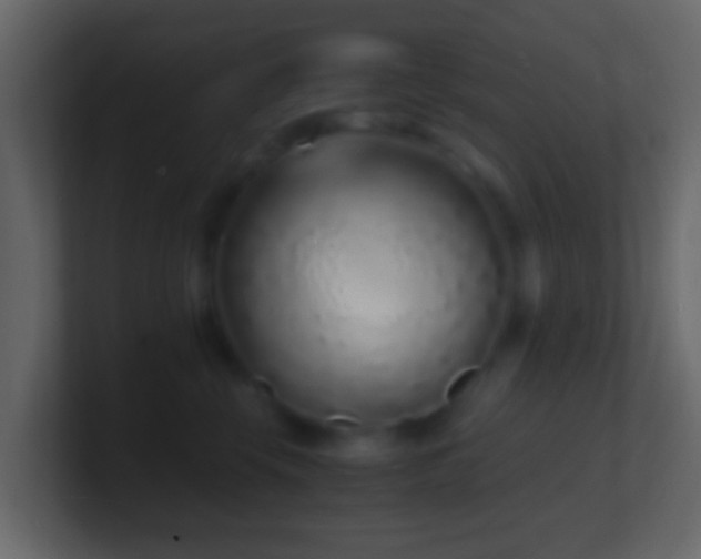 X0000101480569200807071506