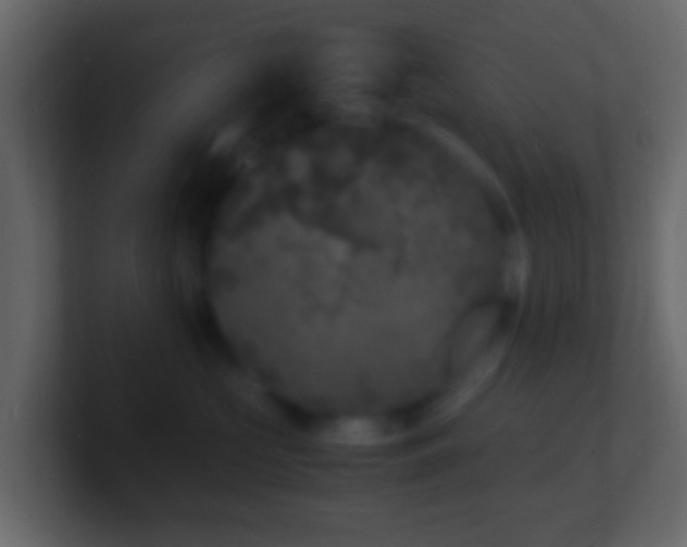 X0000101480573200807071506