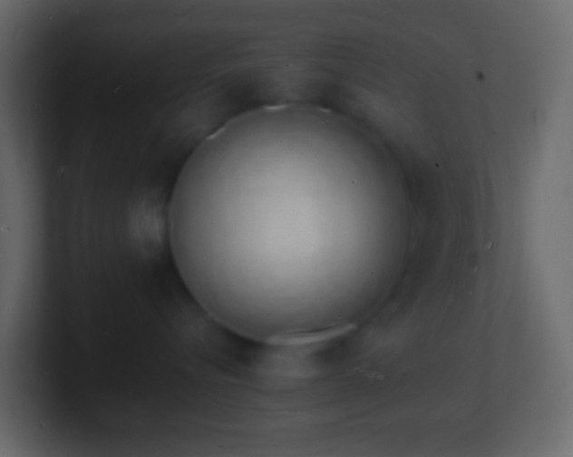 X0000101480576200807071506