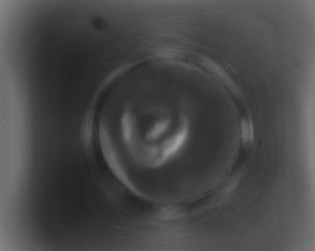 X0000101480579200807071506
