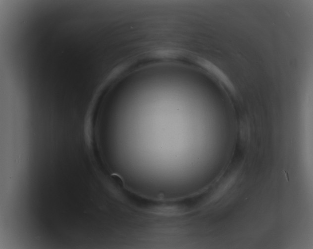 X0000101480581200807071506