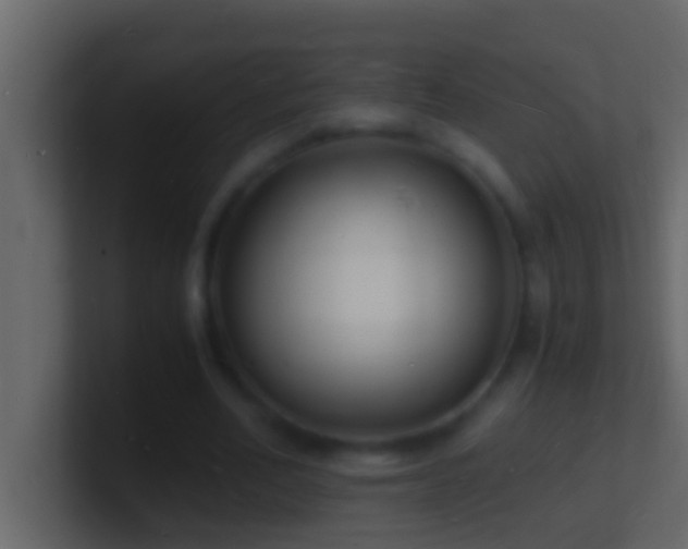 X0000101480582200807071506