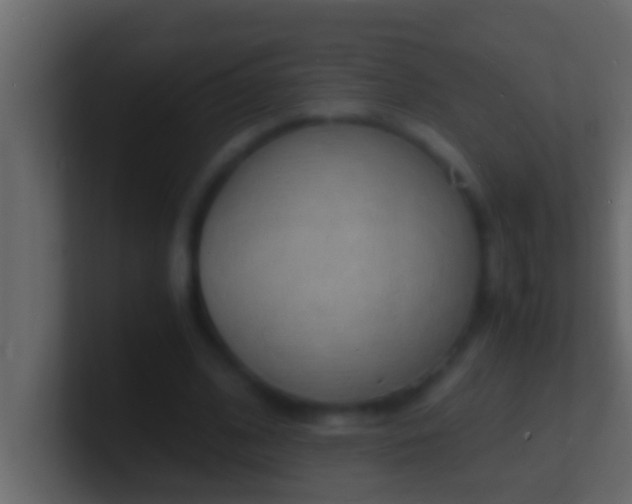 X0000101480584200807071506