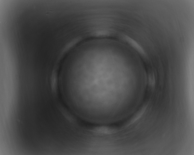 X0000101480588200807071506