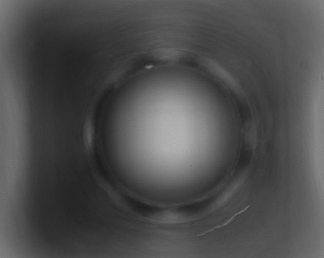 X0000101480589200807071506