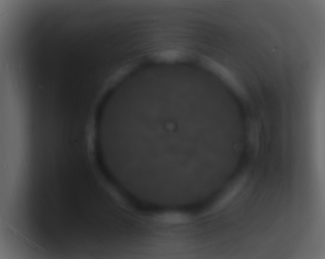 X0000101480590200807071506