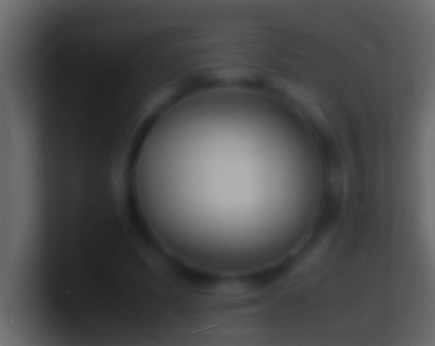 X0000101480591200807071506