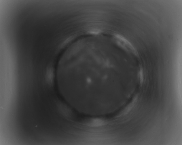X0000101480592200807071506