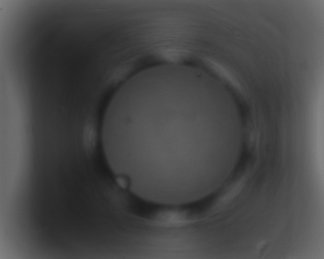 X0000101480595200807071505