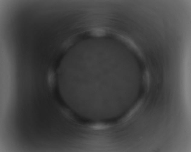 X0000101480598200807071505