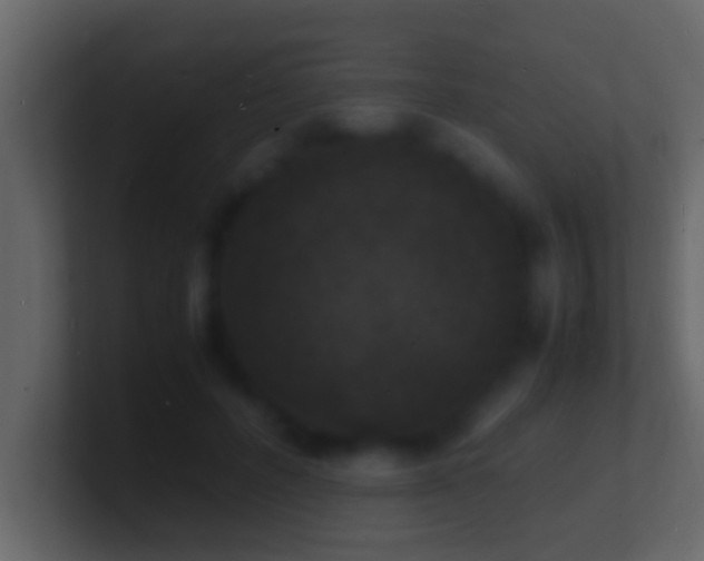 X0000101480600200807071505