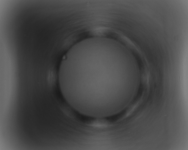X0000101480603200807071505