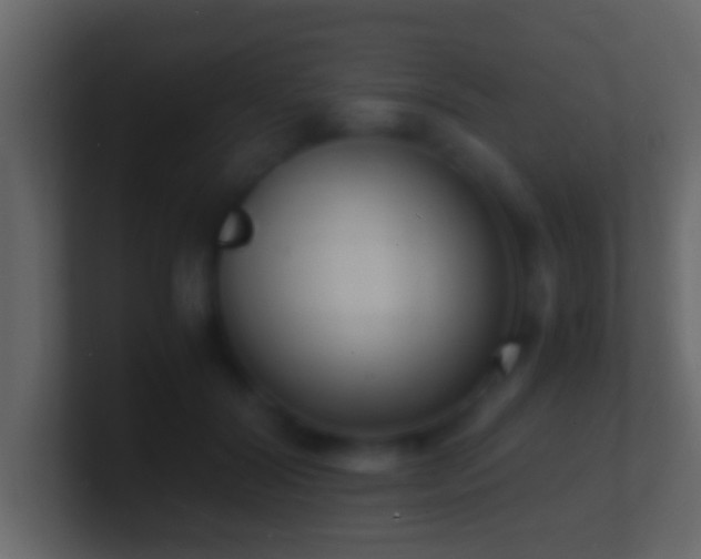 X0000101480604200807071505
