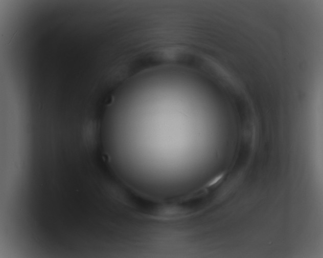 X0000101480605200807071505