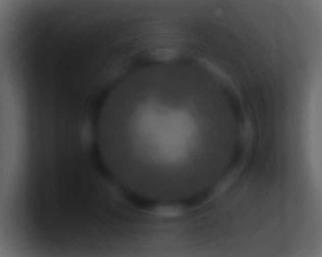 X0000101480606200807071505