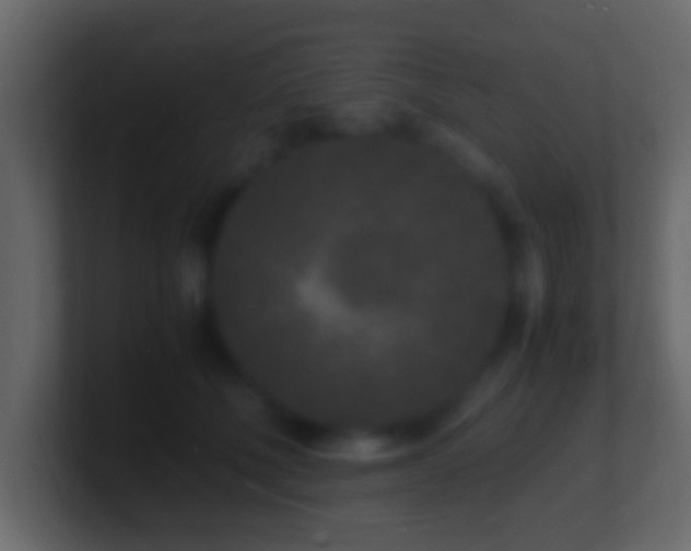 X0000101480610200807071505