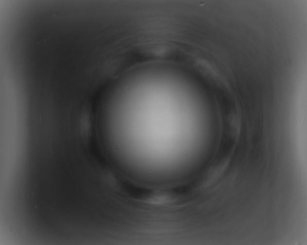 X0000101480612200807071505