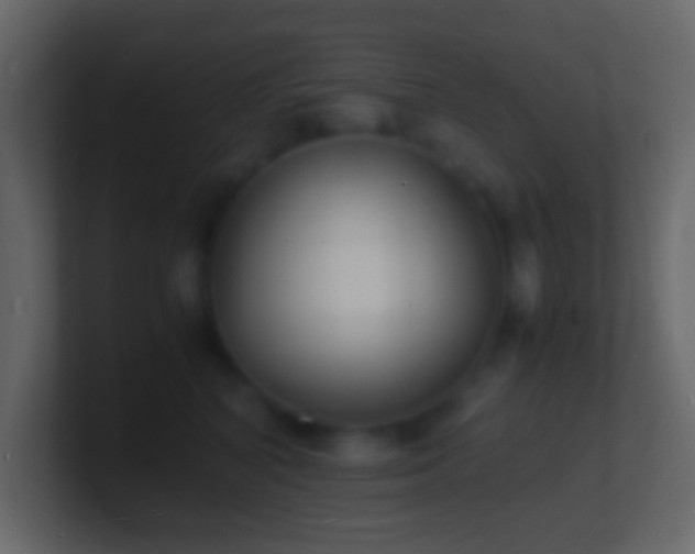 X0000101480616200807071505