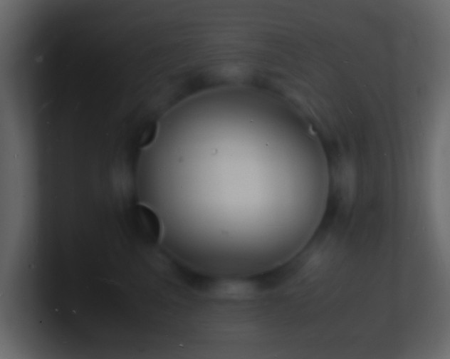 X0000101480617200807071505