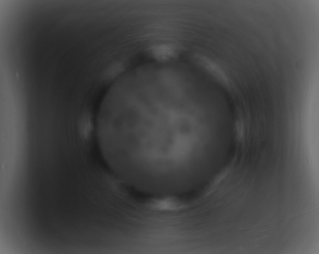 X0000101480618200807071505