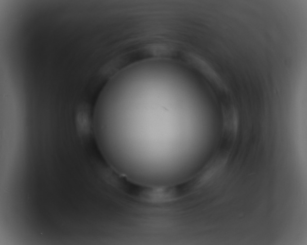 X0000101480622200807071505
