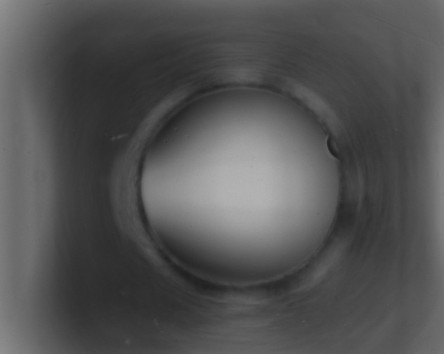 X0000101480625200807071504