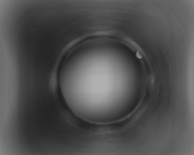 X0000101480628200807071504
