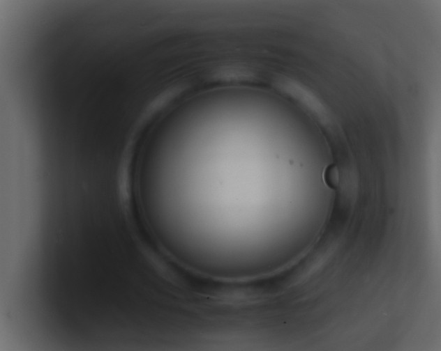 X0000101480629200807071504