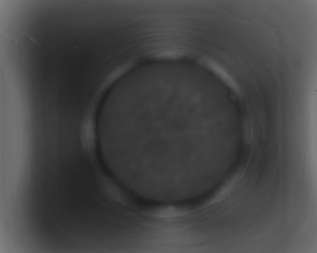 X0000101480634200807071505