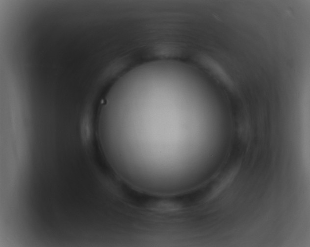 X0000101480635200807071505