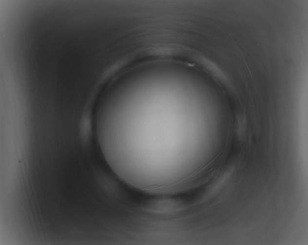 X0000101480636200807071505