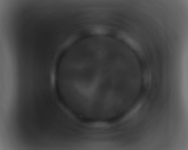 X0000101480637200807071505